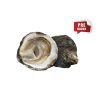 Belon Oyster N0000-N5
